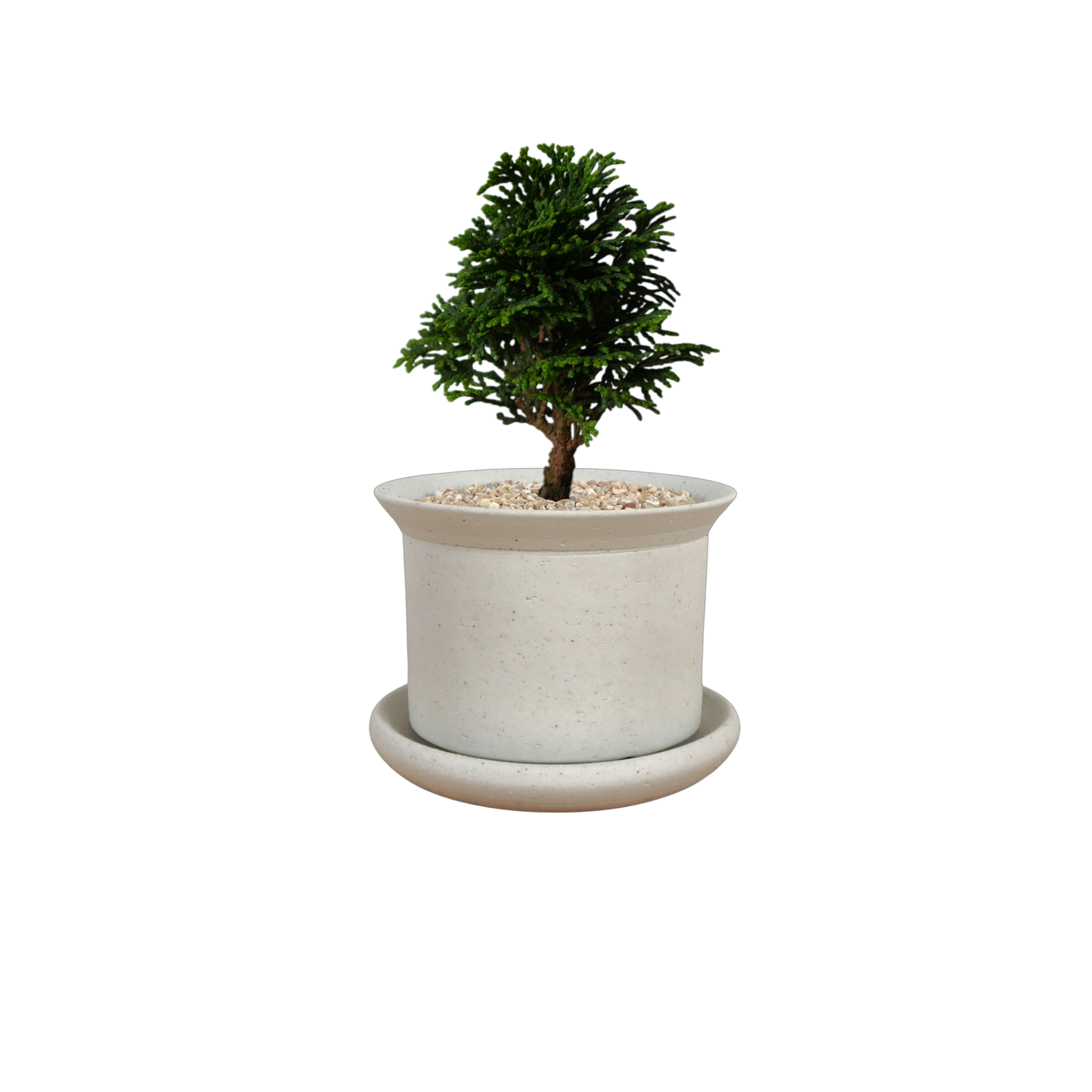 BRRUTO Y Ceramic Pot
