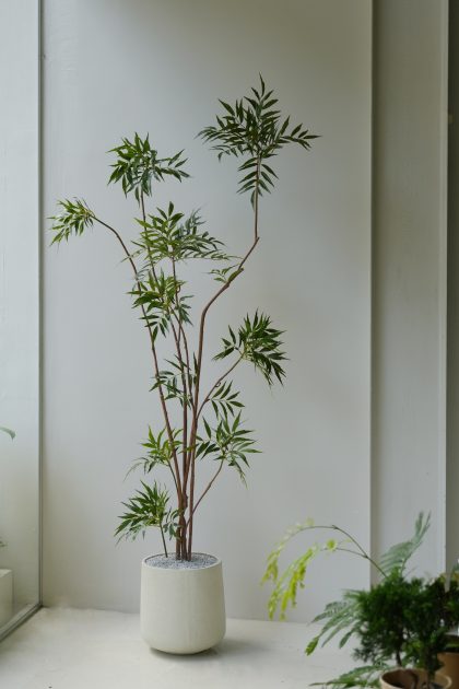 Faux Berberis Fortunei H1.8m