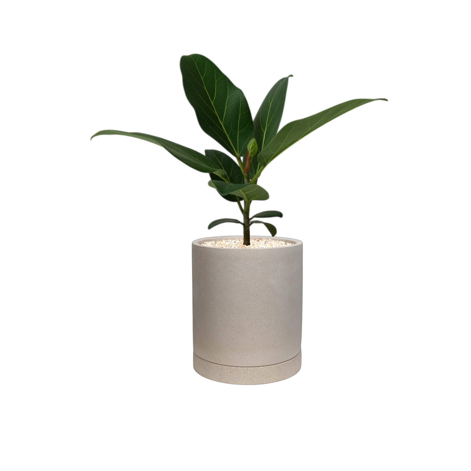 ENKEL Cylinder-Shaped Terrazzo Pot W12cm (Off-white)