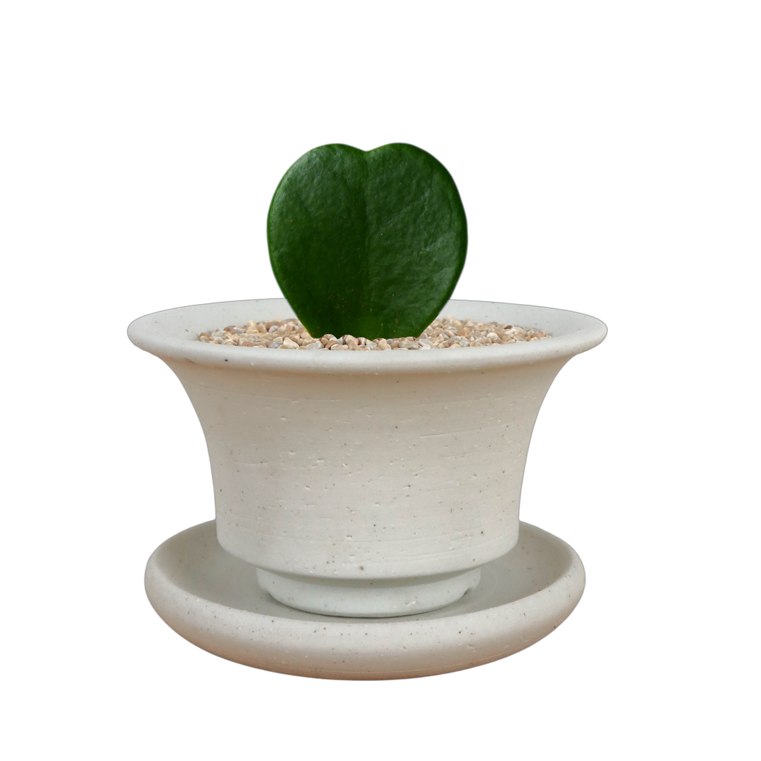 BRRUTO Curve Ceramic Pot