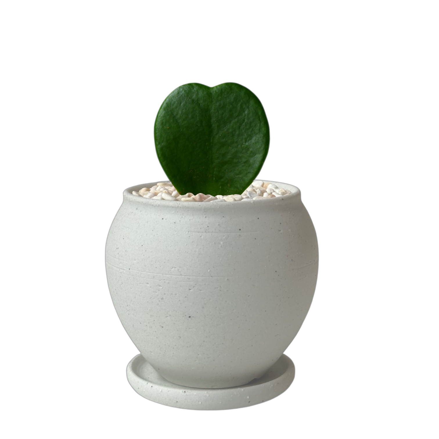 BRRUTO Jar Ceramic Pot