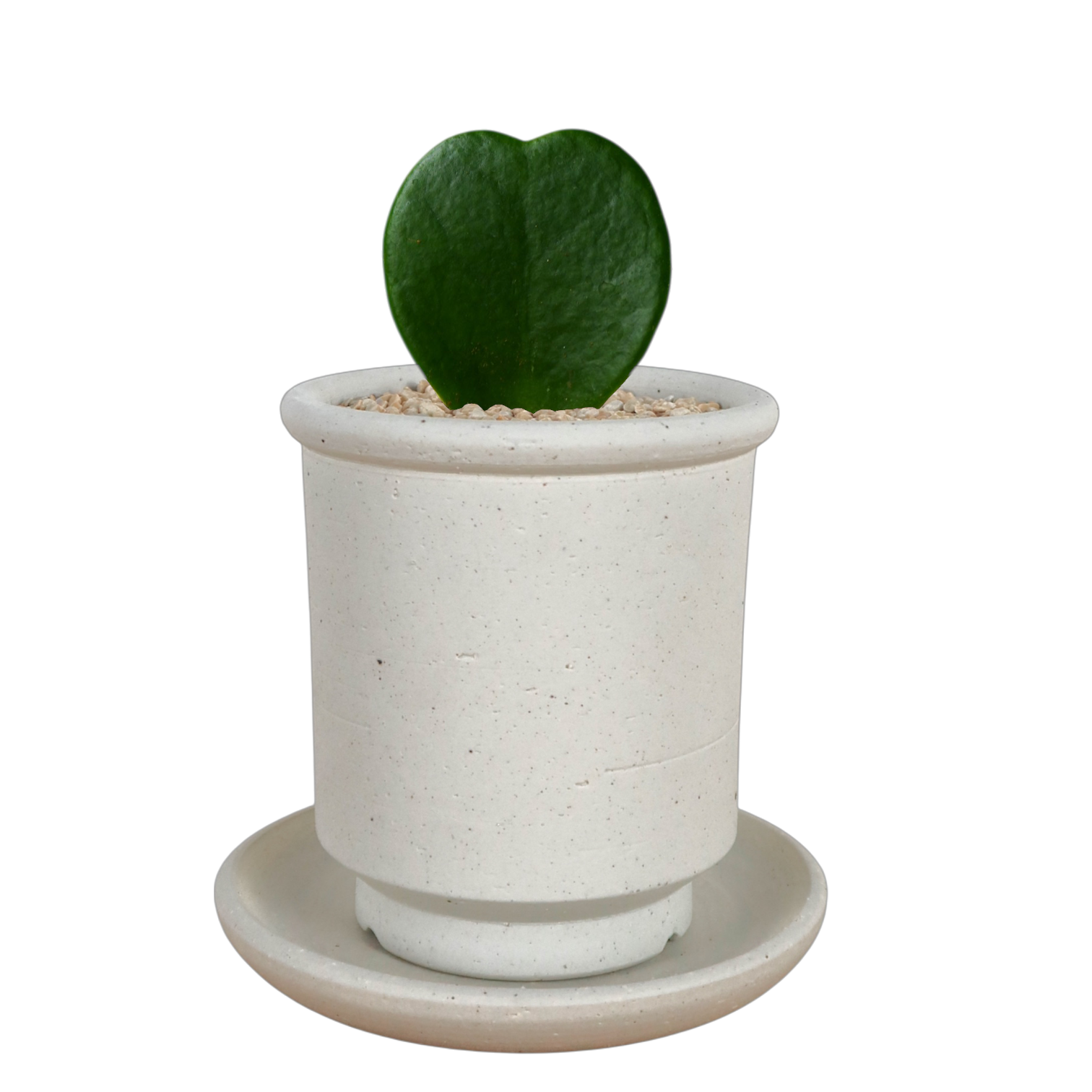 BRRUTO Tall Ceramic Pot