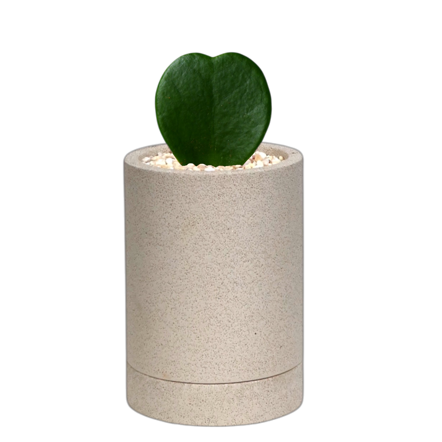 ENKEL Cylinder-Shaped Terrazzo Pot W8cm (Off-white)