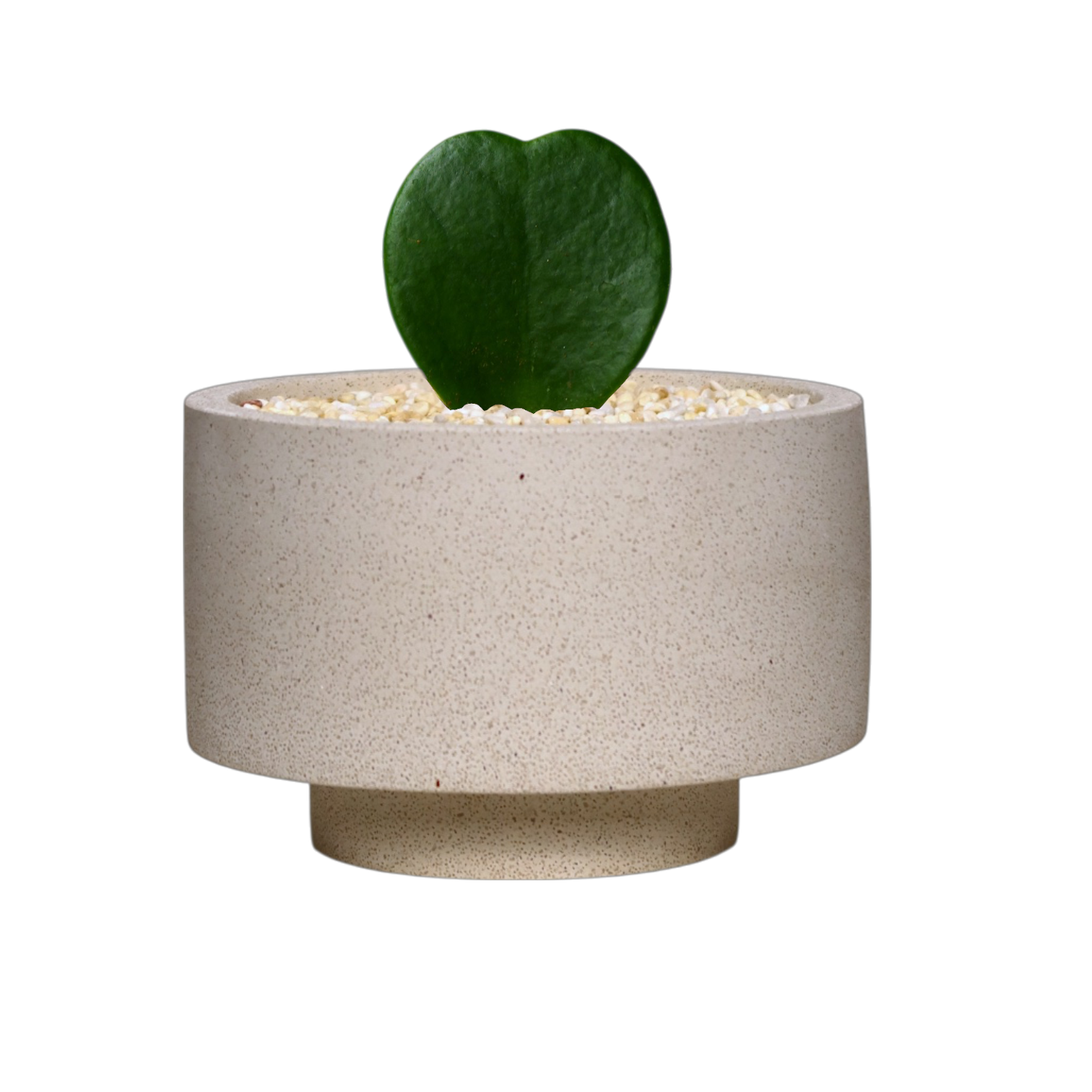 ENKEL Rectangular-Shaped Terrazzo Pot with Flat Saucer
