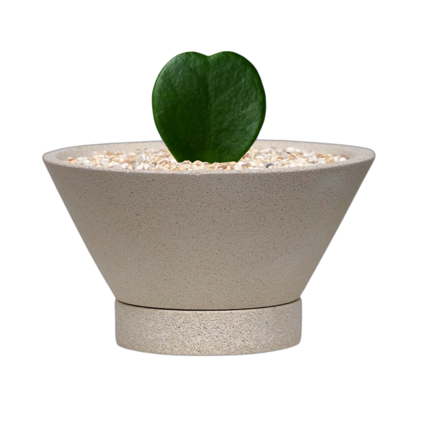 ENKEL V-Shaped Terrazzo Pot with Flat Saucer